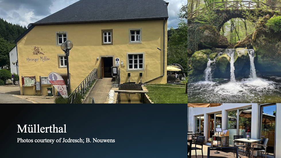 Saturday 13 Sep. 2025: Walk and Lunch in Müllerthal